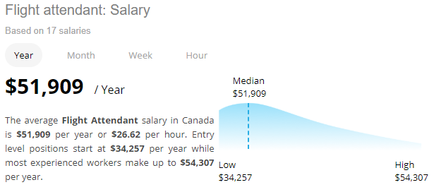 How Much Money Does A Flight Attendant Earn Wise Investments