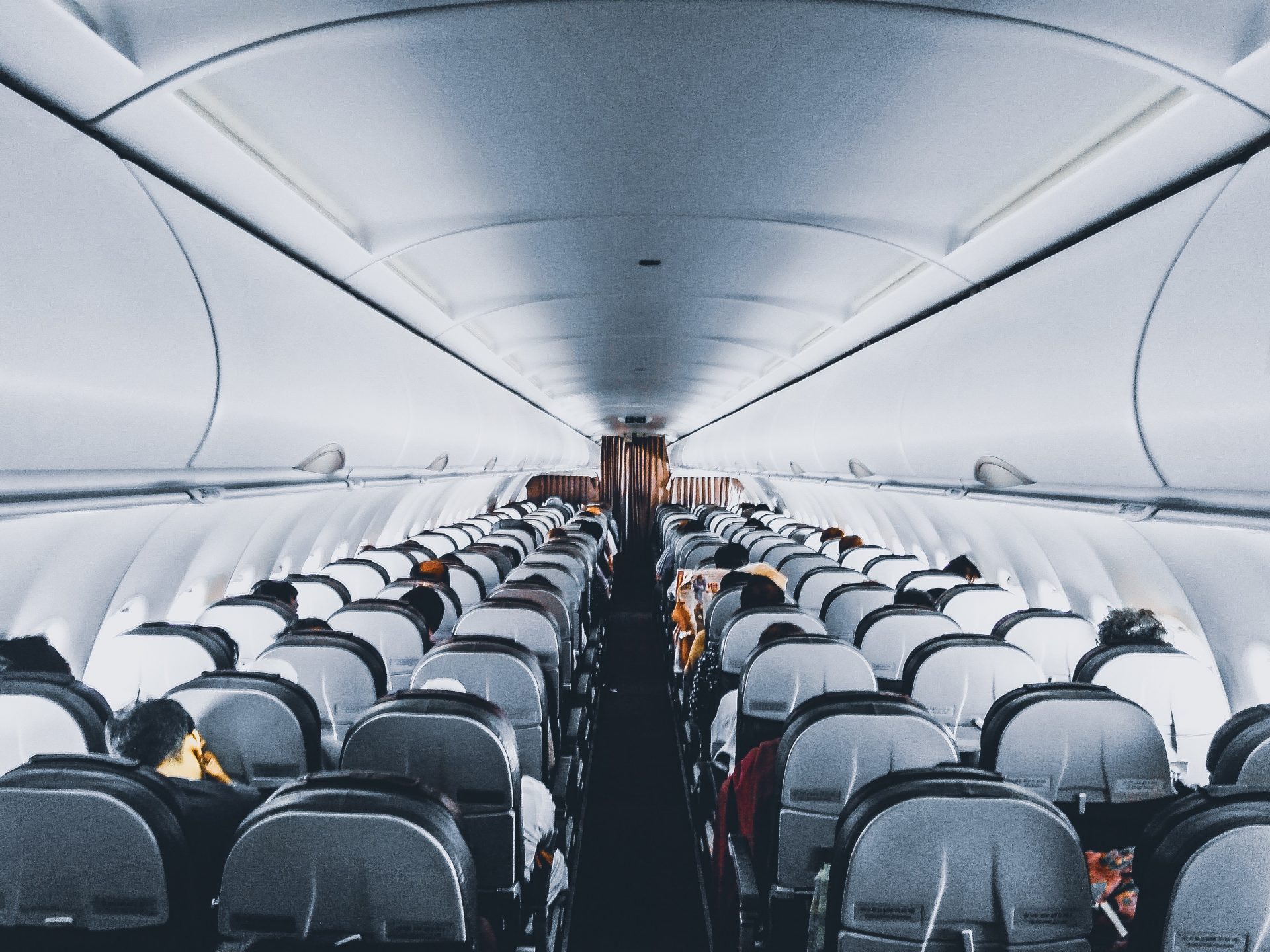 flight attendant